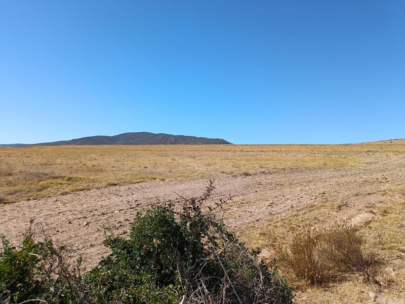 0 Bedroom Property for Sale in Darling Western Cape